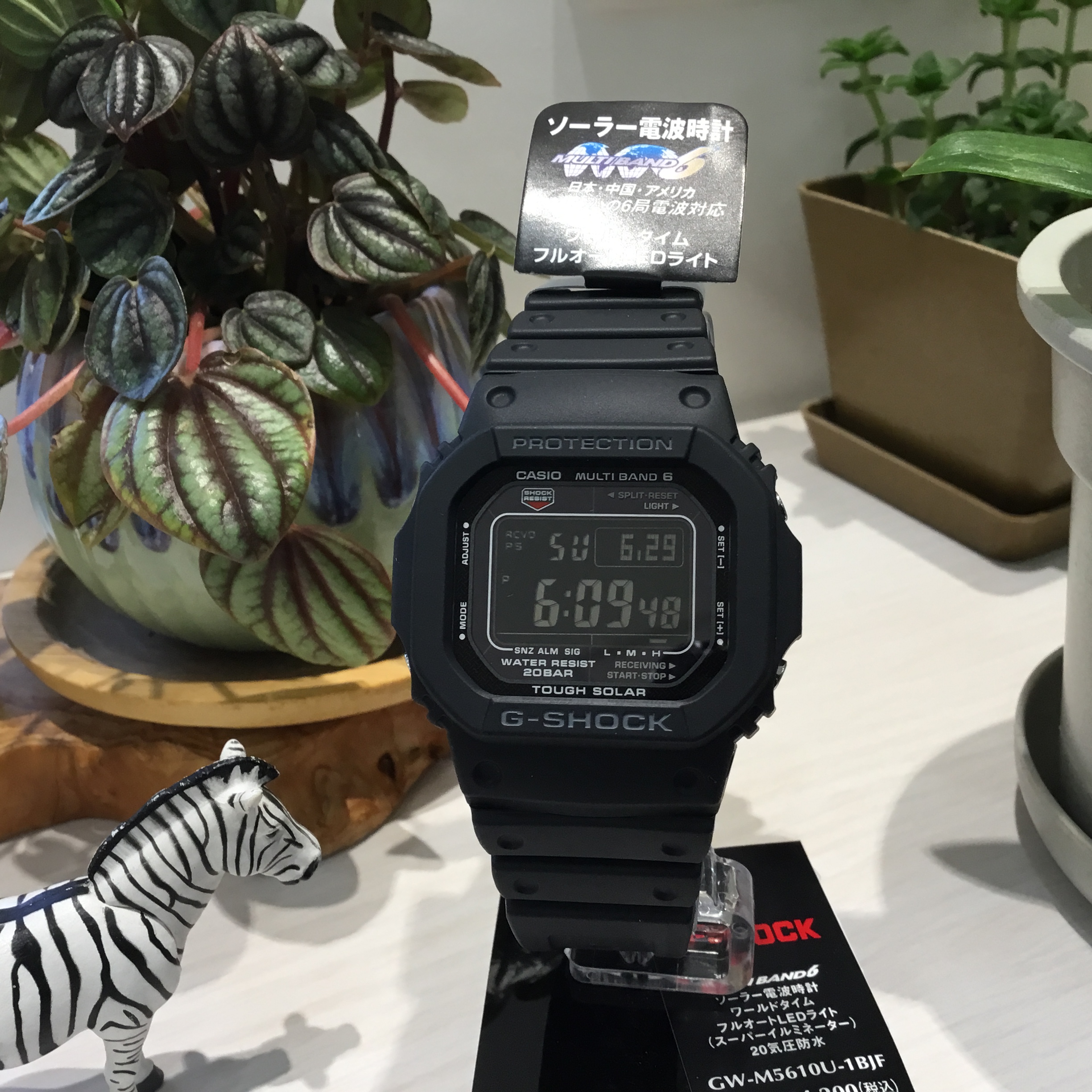 今日のおすすめWatch